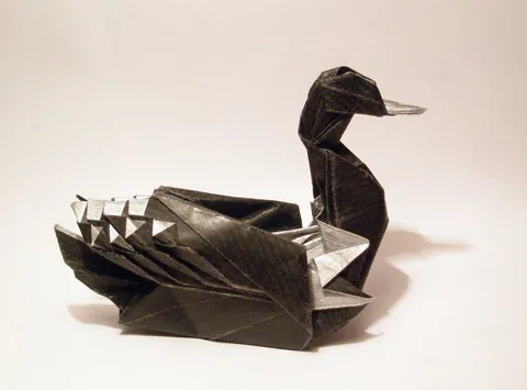 Common loon
