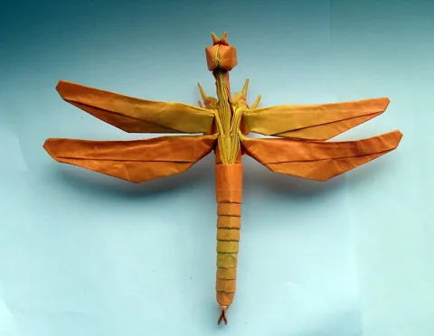 Dragonfly 2.2