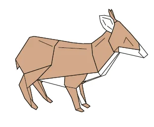 Southern pudu