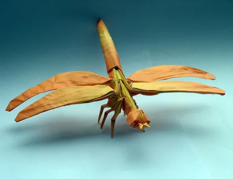 Dragonfly 2.2