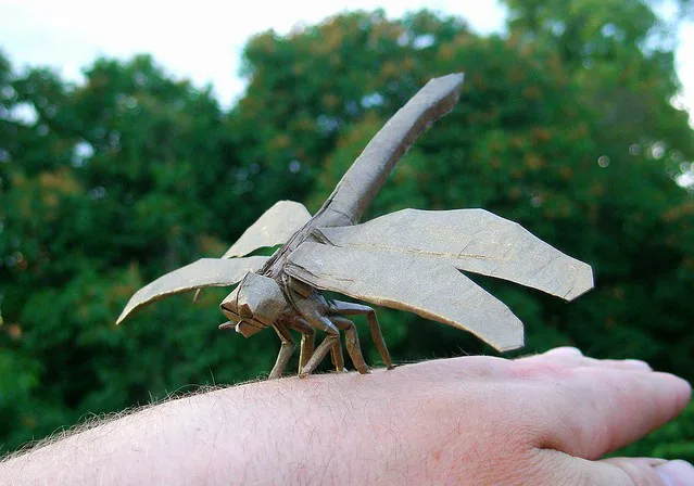 Dragonfly 3.0