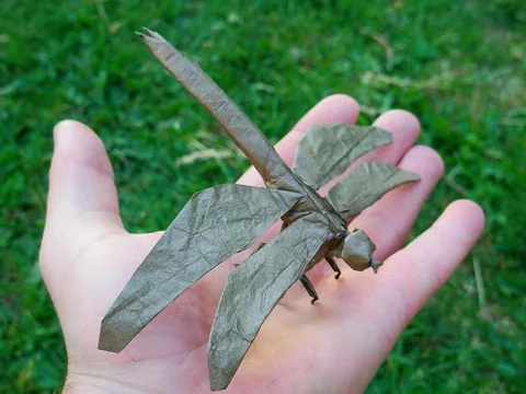 Dragonfly 3.0