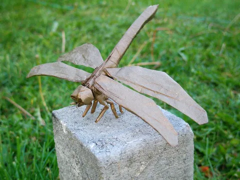 Dragonfly 3.0