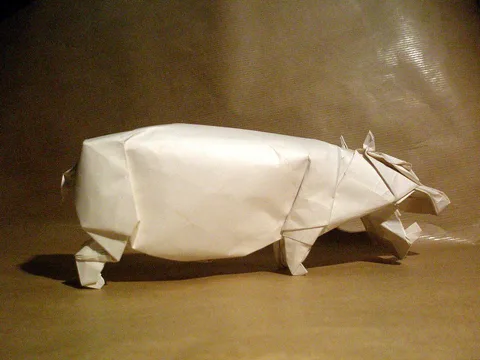 Hippo