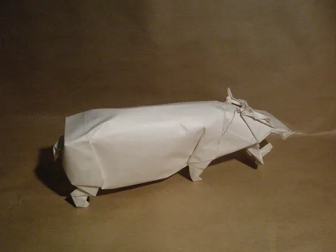 Hippo