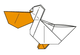 Pelican