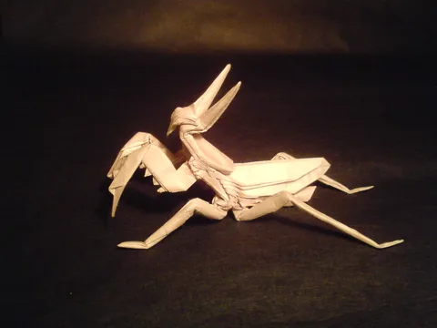 Praying mantis