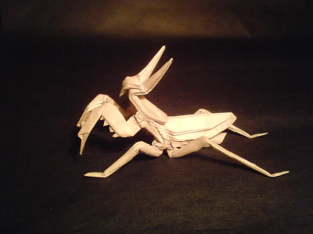 Praying mantis