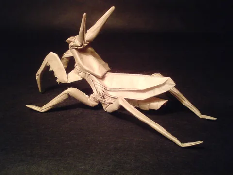 Praying mantis