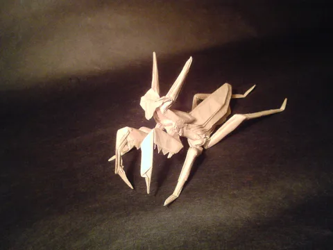 Praying mantis