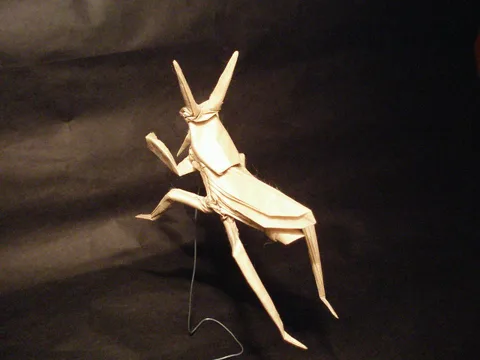 Praying mantis