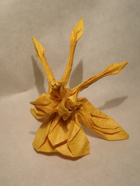Psychopsis krameriana