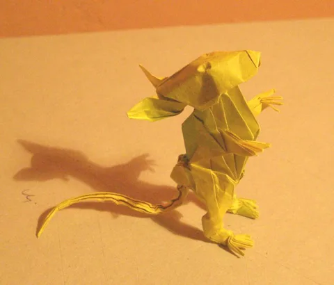 Rat