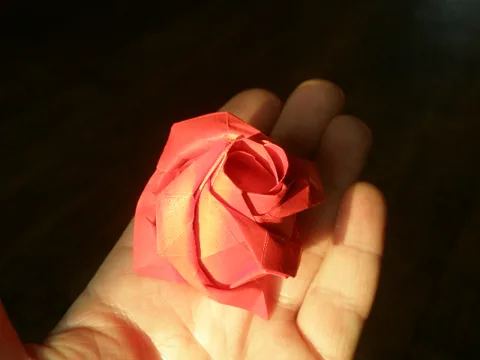 Rose