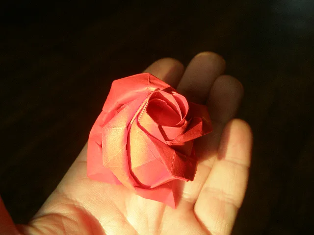 Rose