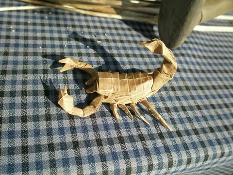 Scorpion 1.0