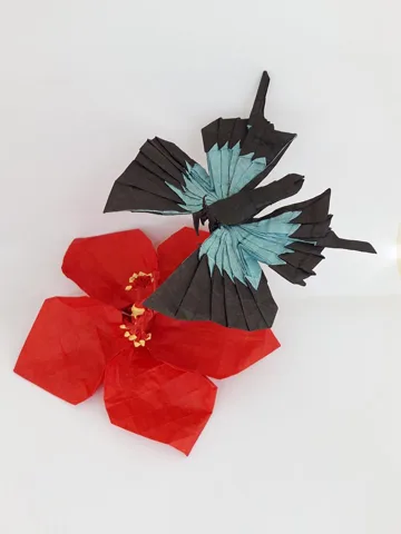Butterfly Papilio Ulysses