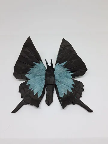Butterfly Papilio Ulysses