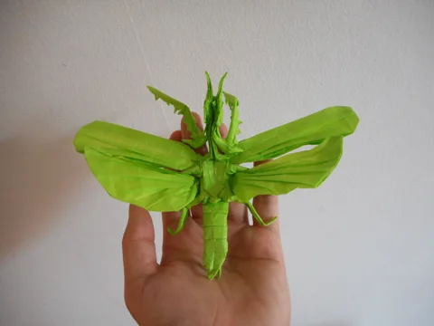 Flying praying mantis
