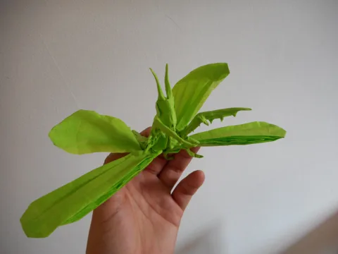 Flying praying mantis