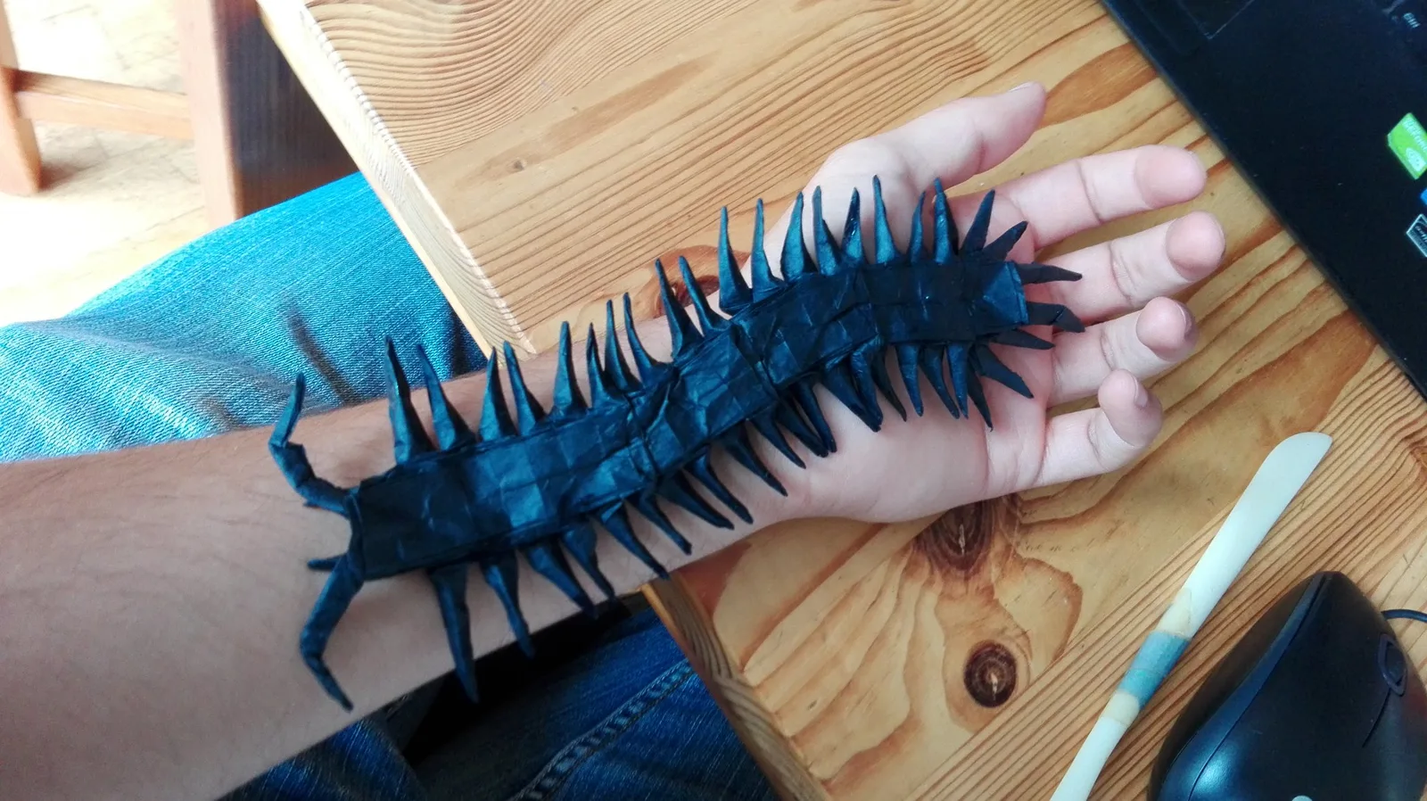 Giant centipede