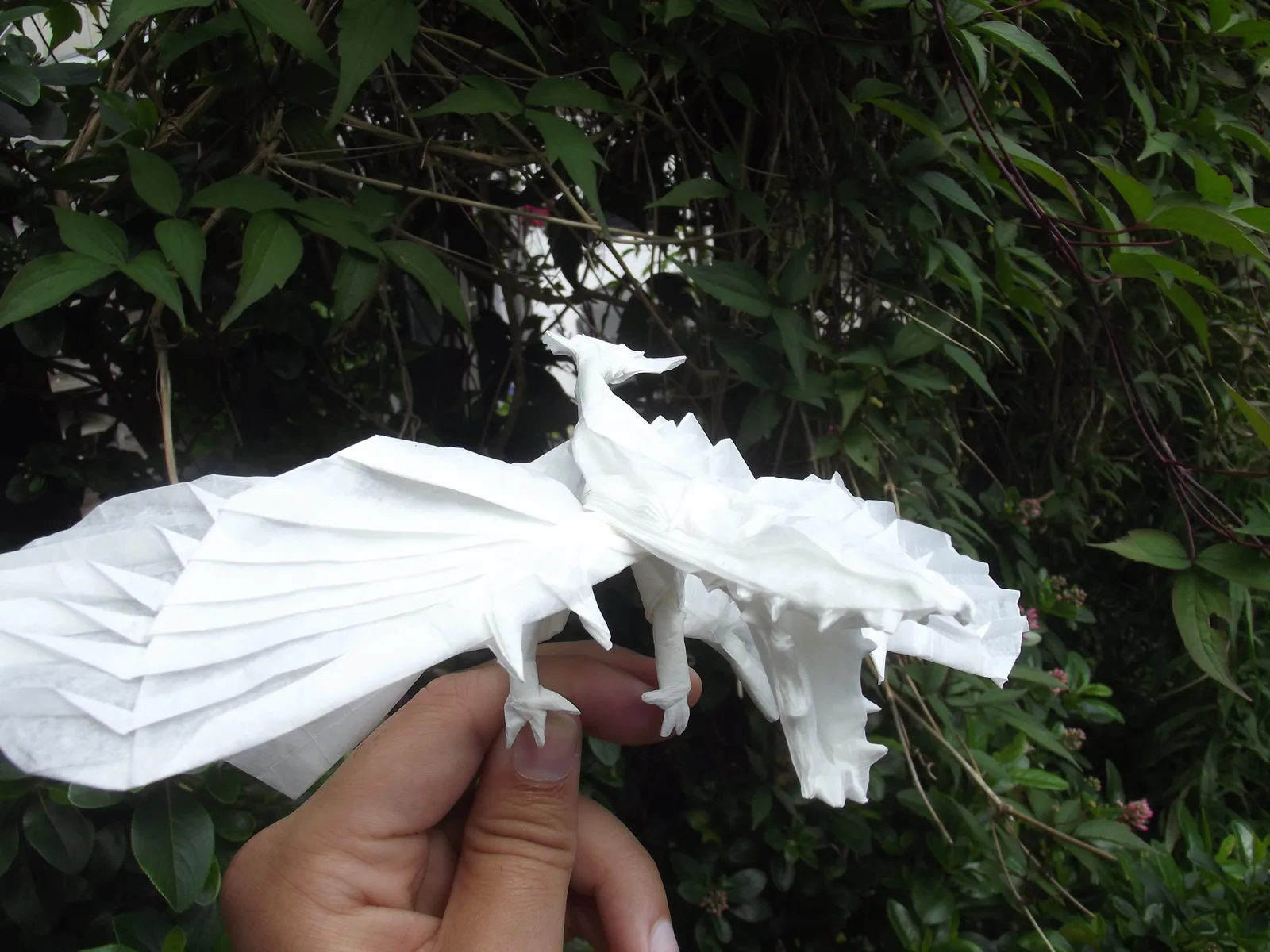 Microraptor