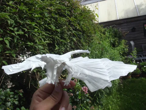 Microraptor