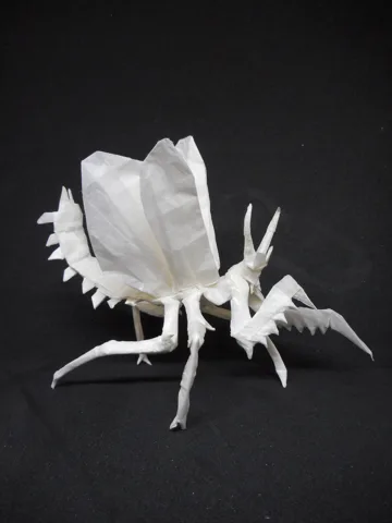 Praying mantis