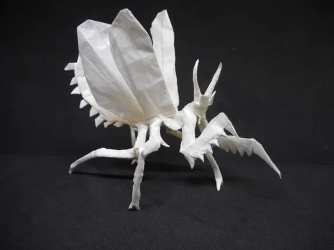 Praying mantis