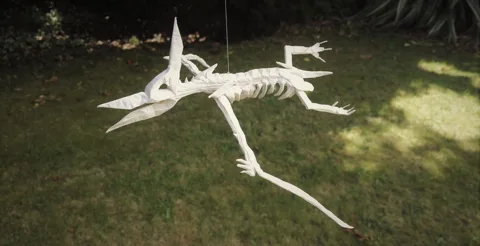 Pteranodon Skeleton — паттерн