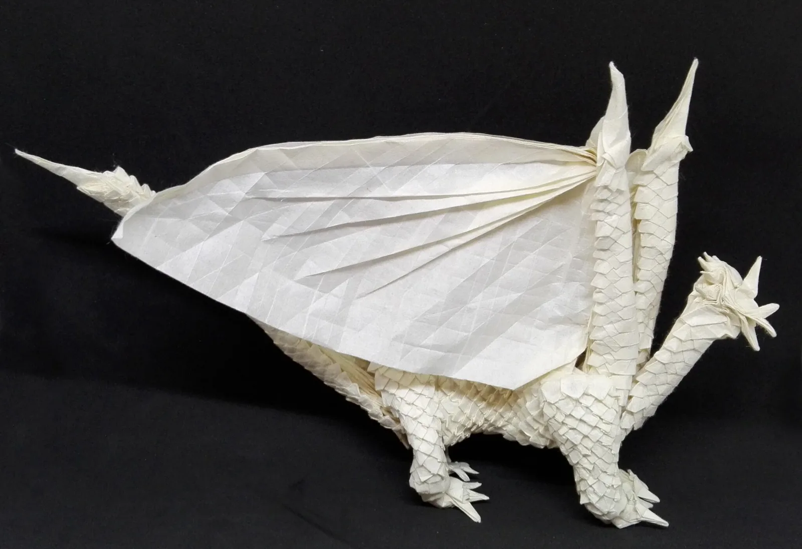 Scaled western dragon