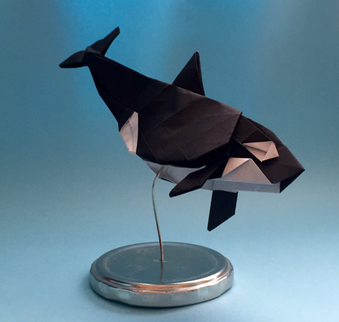 Orca