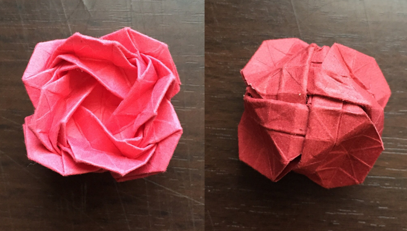 Rose