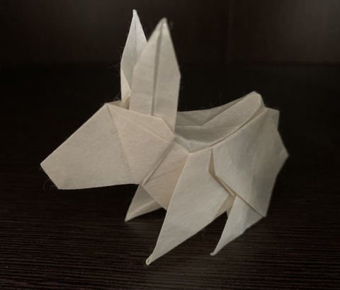 Rabbit