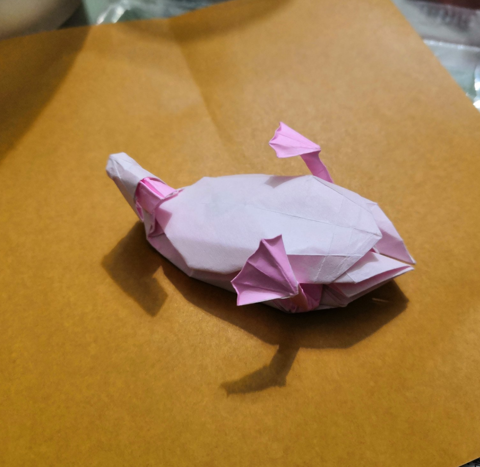 Duck