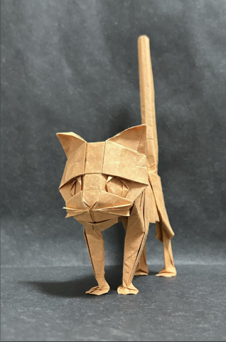 Cat 2024