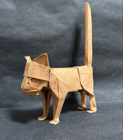 Cat 2024