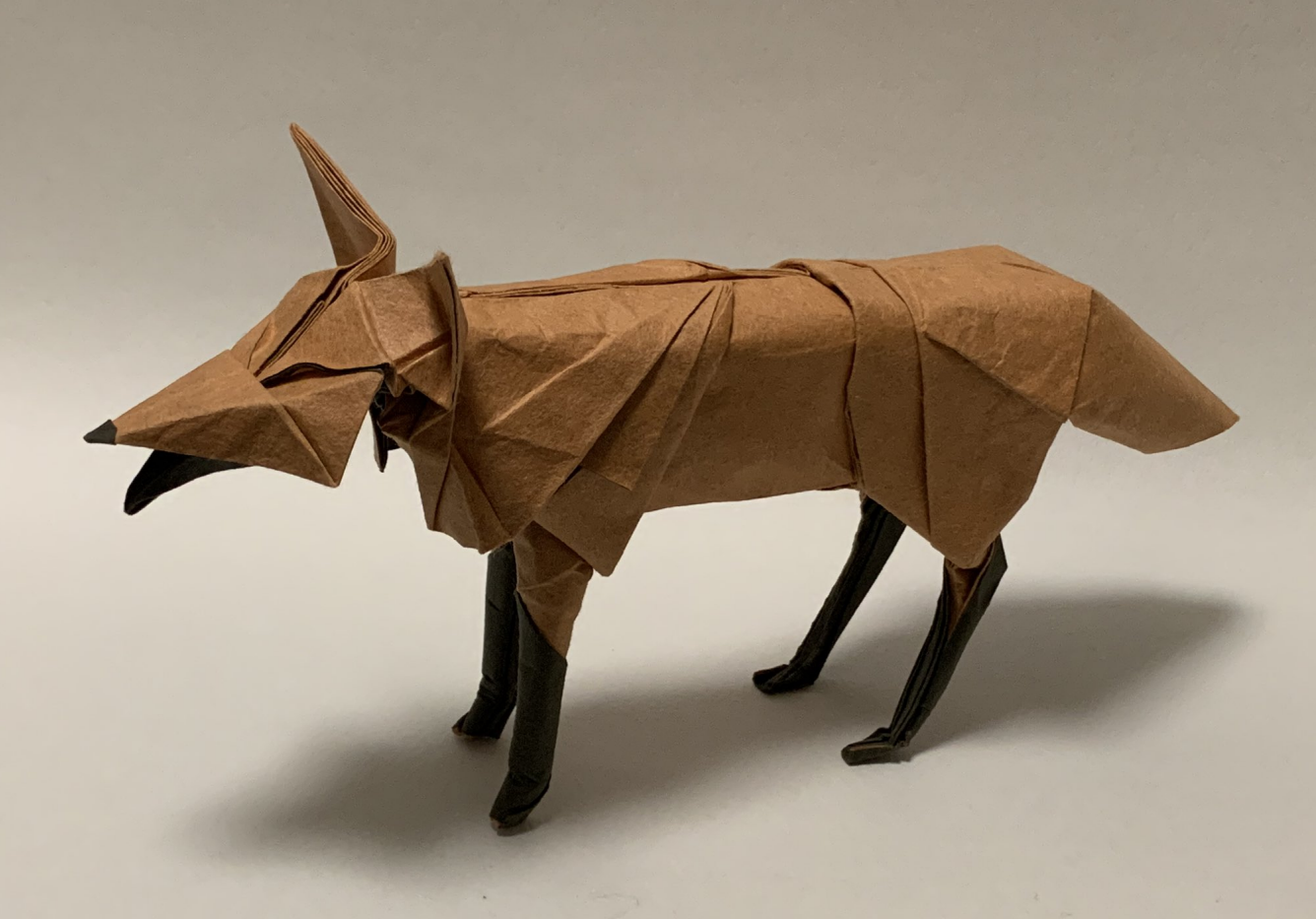 Fox