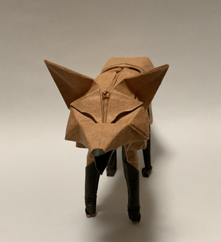 Fox