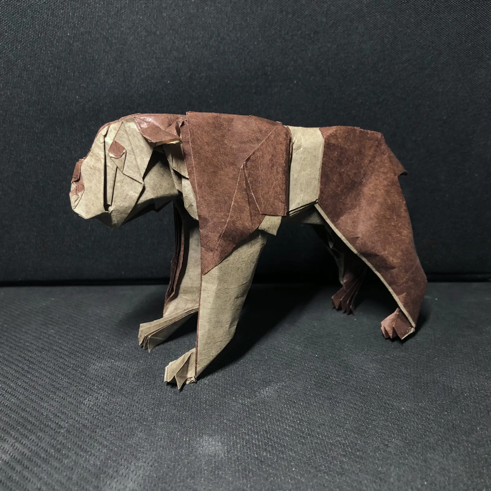 Bulldog