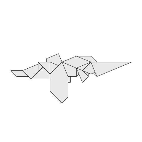 Long Nosed Chimaera
