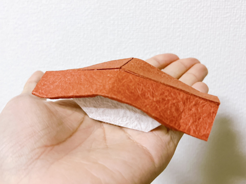 Tuna Sushi (PD)