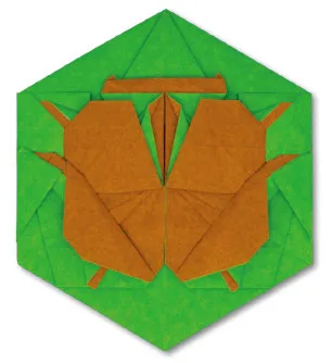 Beetle coin