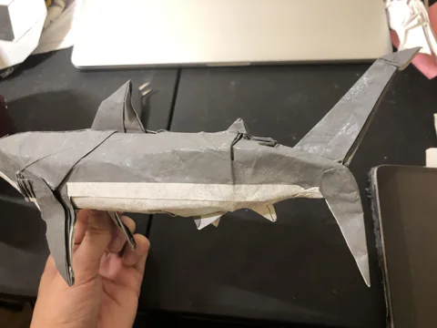 Shark