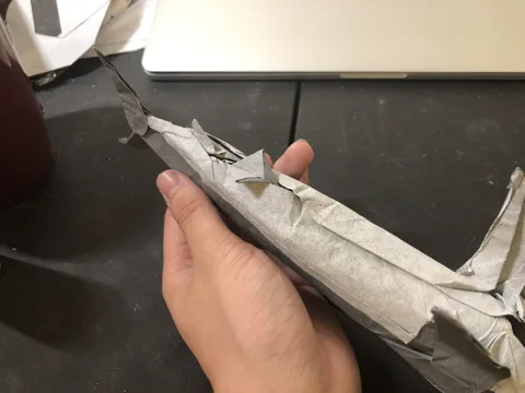 Shark