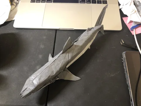 Shark
