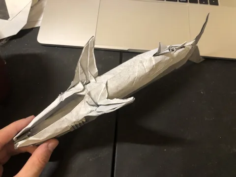 Shark
