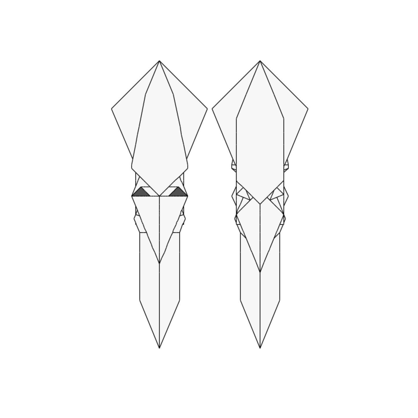 Squid