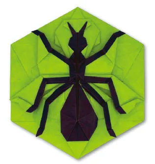 Ant coin