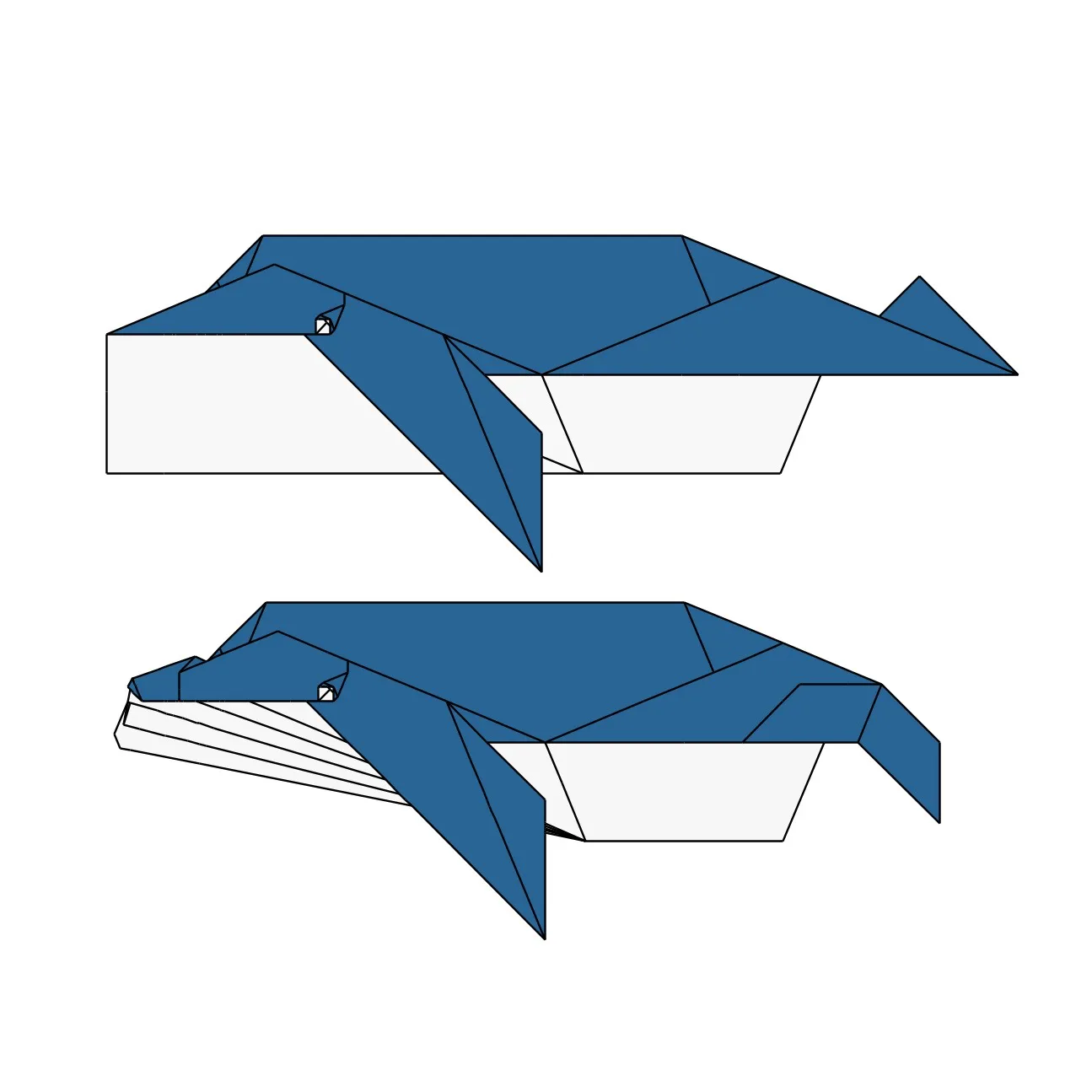 Whale
